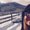 Photo of Angelica H.