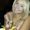 Photo of Jackie C.