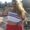 Photo of Raina F.