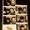 Photo of K T.