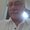 Photo of Larry L.