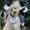 Photo of A. G.