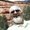 Photo of Gary F.