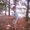 Photo of Candi C.