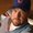 Photo of Hal M.