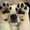 Photo of Qype User (jeffgo…)