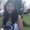 Photo of Allison T.