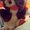 Photo of Adriana P.