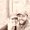 Photo of David N.
