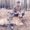 Photo of Haylee D.