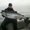 Photo of Jason N.