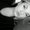 Photo of Natalie W.