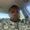 Photo of Eric Mims J.