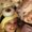 Photo of Kimberly H.