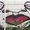 Photo of Ali G.