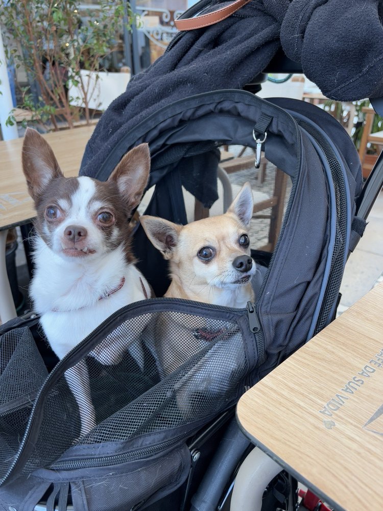 Yelp User Profile Pic