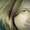 Photo of Laura K.