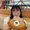 Photo of Carol L.