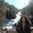 Photo of ToniAnn H.