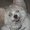 Photo of Joann M.