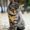 Photo of Cat G.