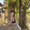 Photo of Thiyada T.