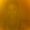 Photo of Pam D.