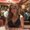 Photo of Abbey G.