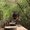 Photo of sapna A.