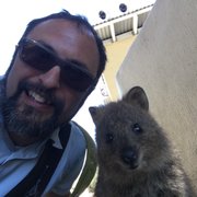 google avatar