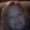Photo of Diane R.