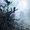 Photo of Riley J.