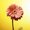Photo of Qype User (Petral…)