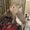 Photo of Tricia G.