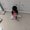 Photo of Swati P.