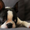 Photo of Guest S.