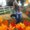 Photo of Krista S.