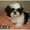 Photo of Jacklyn L.