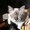 Photo of Qype User (skyrap…)