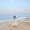 Photo of Asma A.