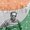 Photo of Akhilesh B.