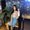 Photo of Karina C.