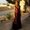 Photo of Massarrah T.