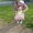 Photo of Joann B.