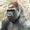 Photo of Qype User (Las66…)