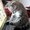 Photo of Kitty C.