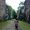 Photo of Ivy T.