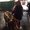 Photo of Chunyi P H.