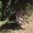 Photo of Meghana P.