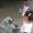 Photo of Marisela A.